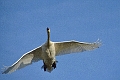 18 11 12_7959_edited-1